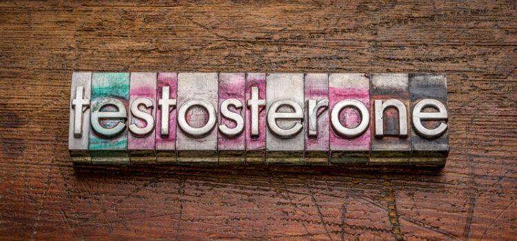 How does testosterone shape your body