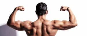 Anabolic vs. Catabolic: What's the Exact Difference? - Thomson Scientific
