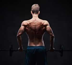 Targeting Your Back Muscles