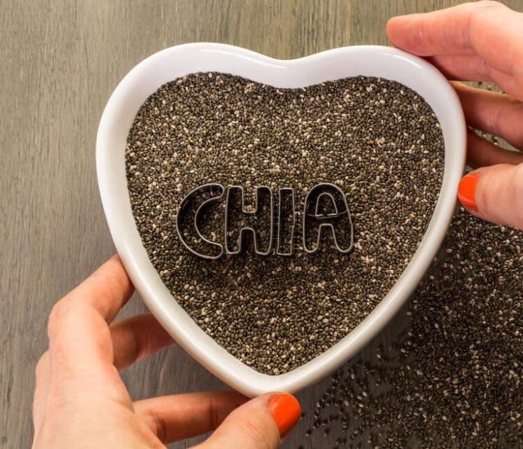 Chia Seeds Why They Belong in Your Bodybuilding Diet Thomson Scientific