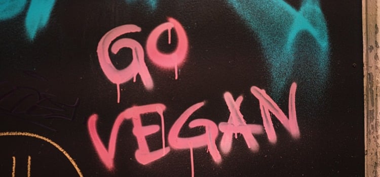 5 Important Tips for Vegan Bodybuilders