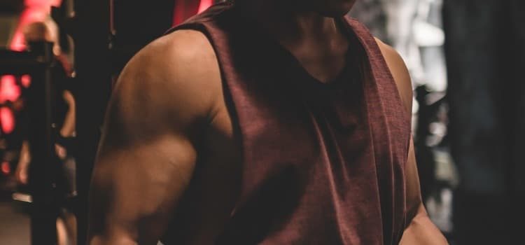 sarms for cutting