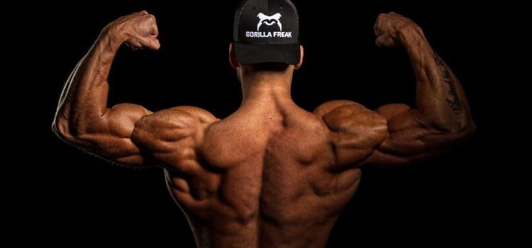 Sculpting a V-Taper: Targeting Your Back Muscles